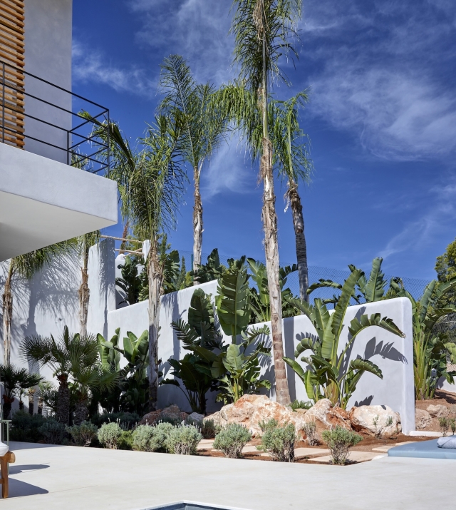 Resa Estates Ibiza koop sale Cala Moli villa seaviews modern pool palmboom.jpg